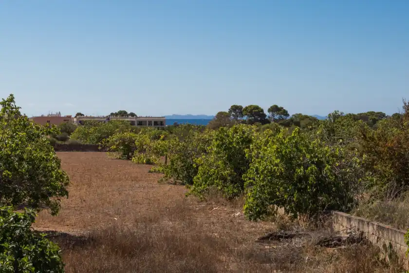 Alquiler vacacional en Short de son fideu, s'Estanyol de Migjorn