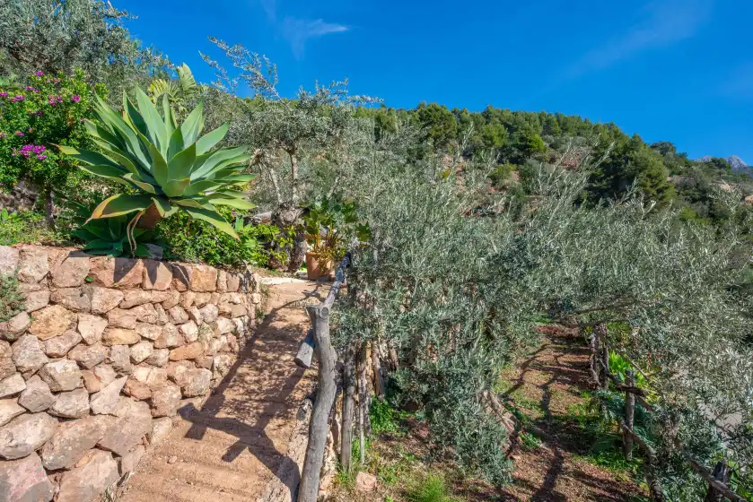 Ferienhaus auf Ses begudes, Fornalutx