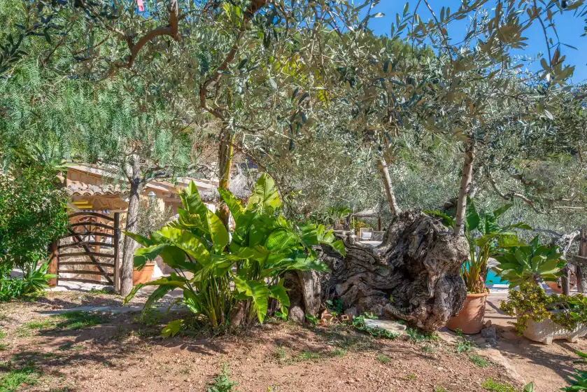 Ferienhaus auf Ses begudes, Fornalutx