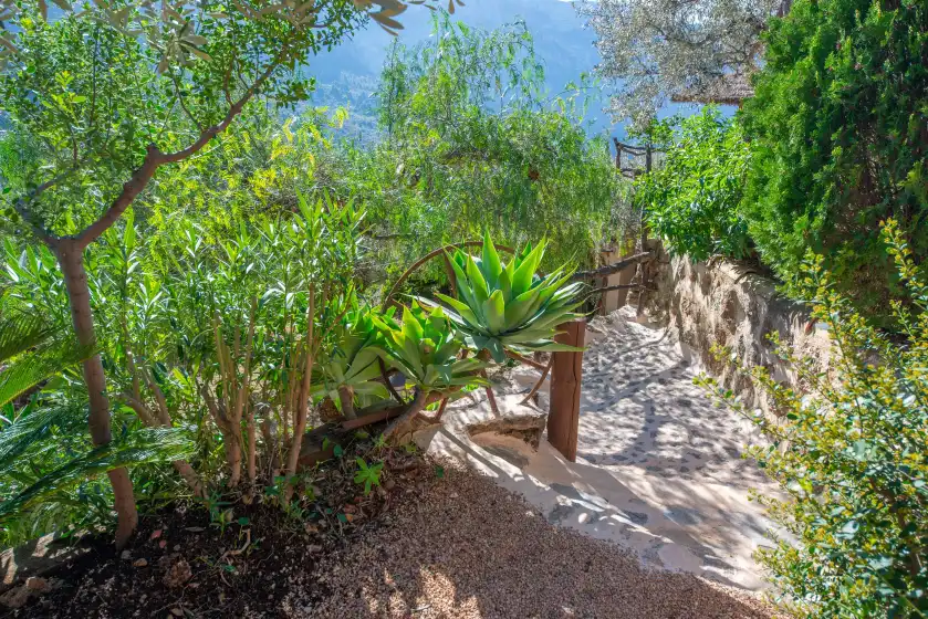 Ferienhaus auf Ses begudes, Fornalutx