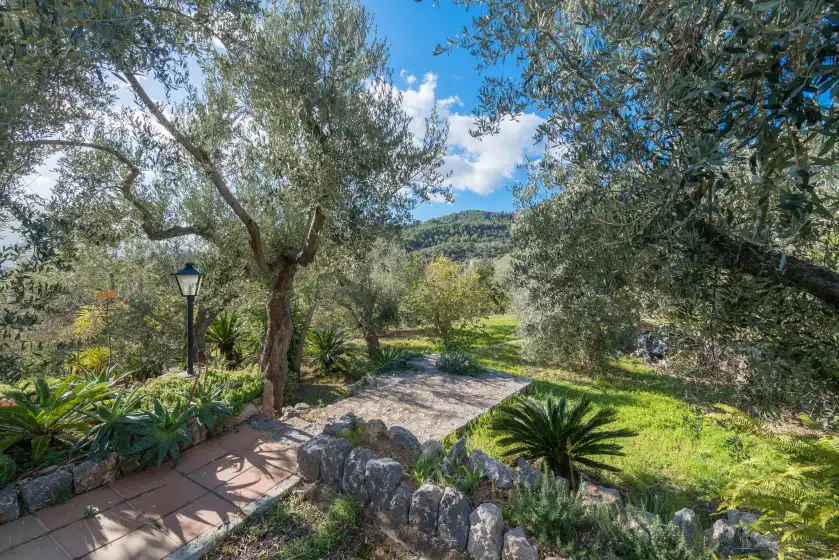 Alquiler vacacional en S'olivaret, Fornalutx