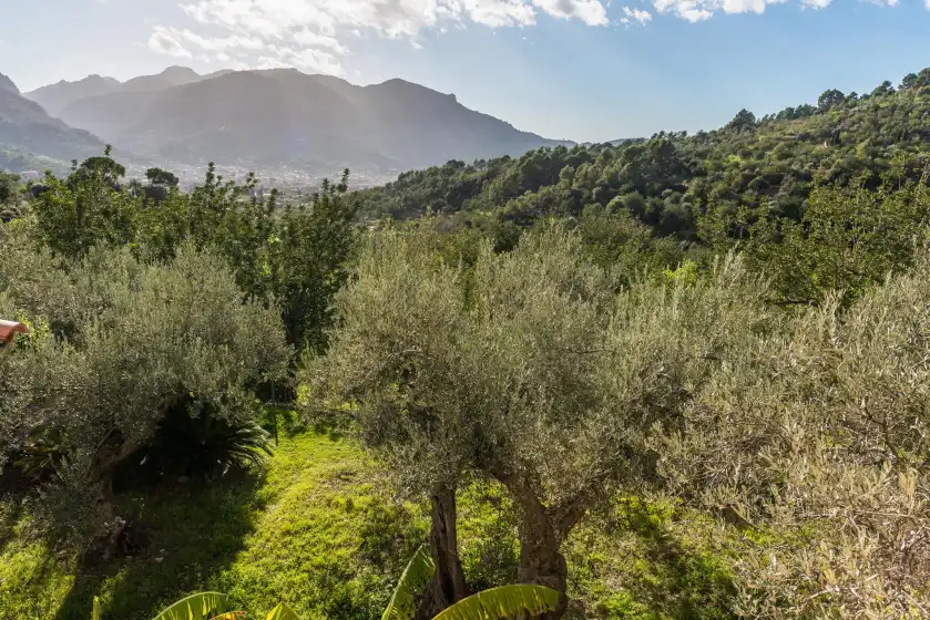 Alquiler vacacional en S'olivaret, Fornalutx