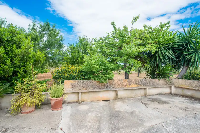 Ferienhaus auf S'alqueria, Campanet