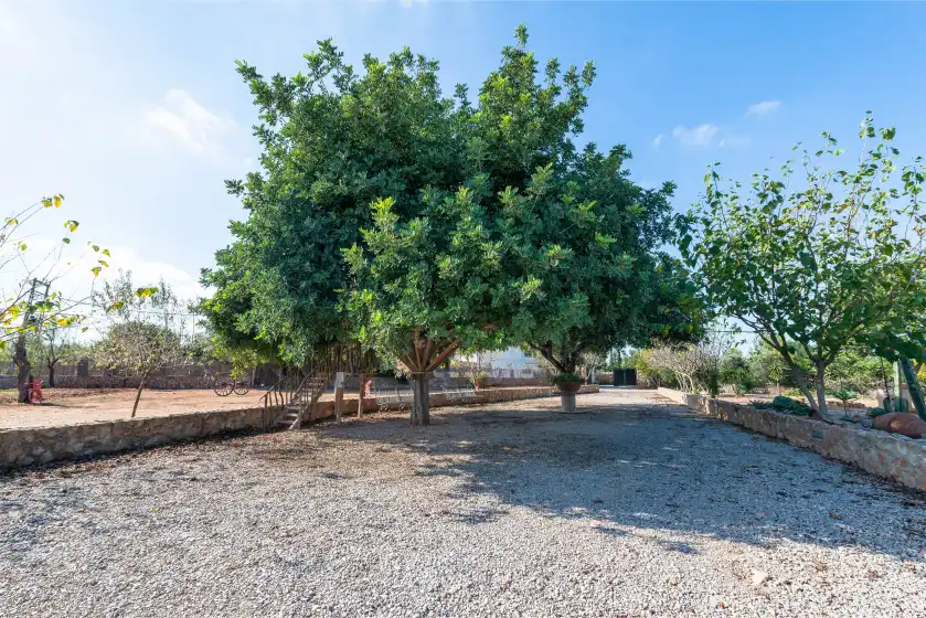 Alquiler vacacional en Can rosillo, Llucmajor