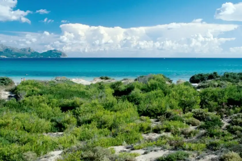 Ferienhaus auf Curling, Port d'Alcúdia