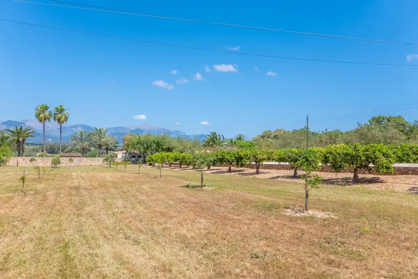 Holiday rentals in Son real, Sencelles