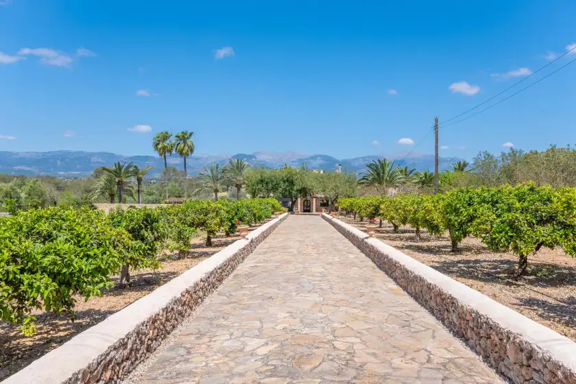 Holiday rentals in Son real, Sencelles