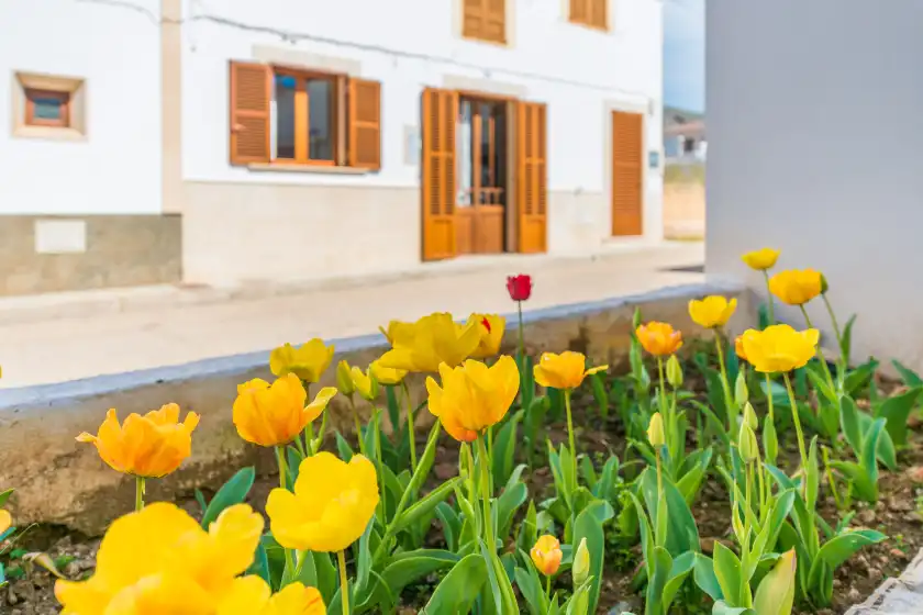 Alquiler vacacional en Vila ca shermano, Colònia de Sant Pere