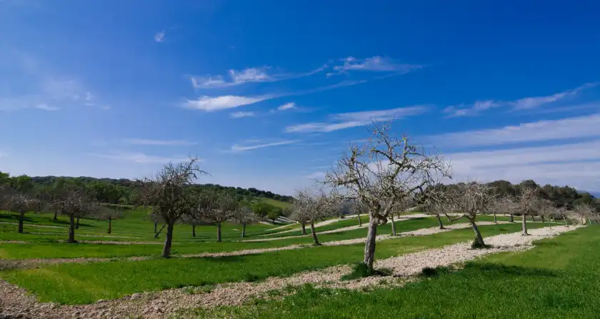 Ferienhaus auf Son vanrell, Montuïri
