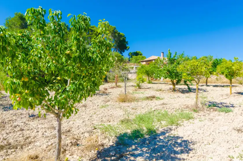 Alquiler vacacional en S'aresta den rumbet, Llucmajor