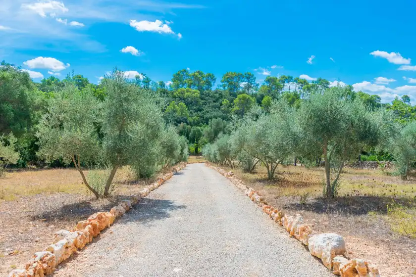 Ferienhaus auf Can pina - eco cascada -, Costitx