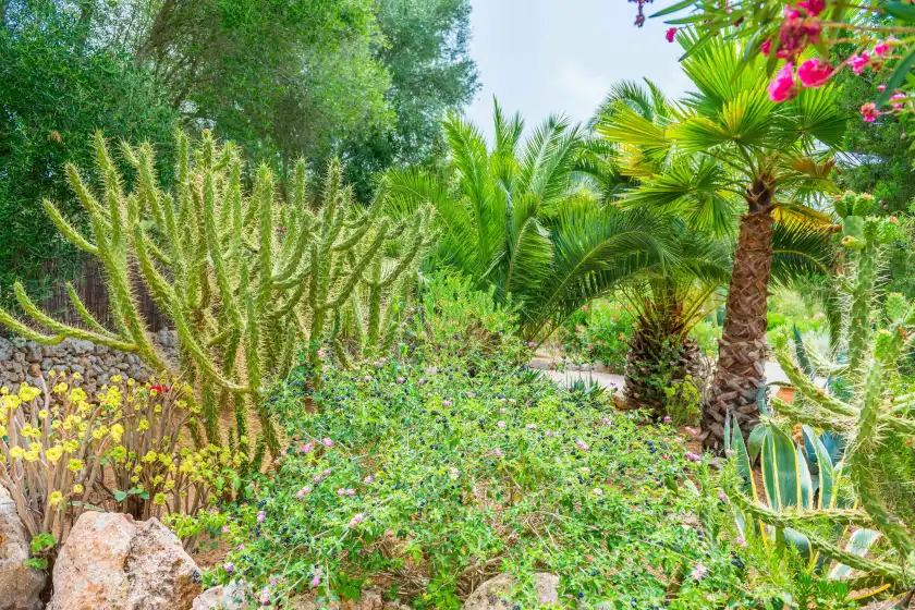 Alquiler vacacional en Can pina - eco pina -, Costitx