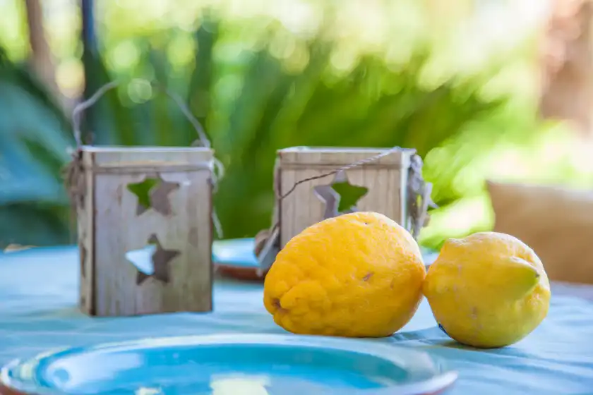 Ferienhaus auf Can pina - eco arco -, Costitx