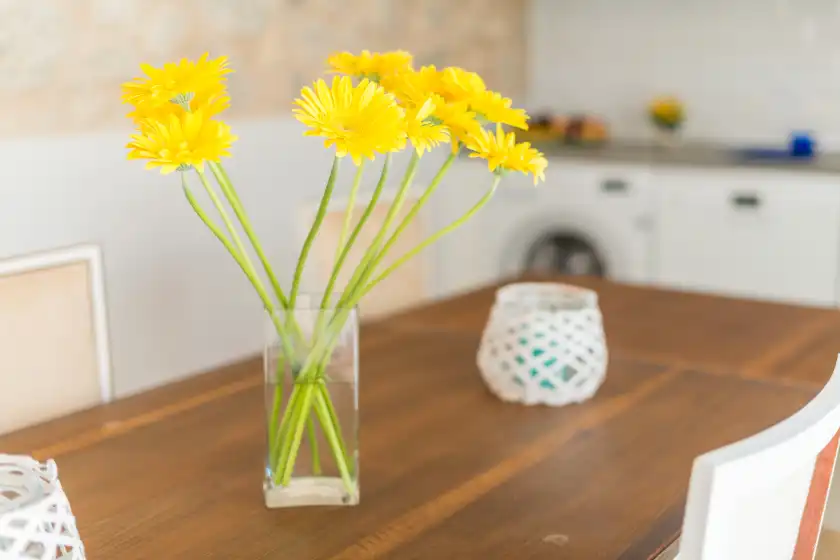 Ferienhaus auf Can diana, Campanet