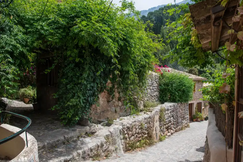 Alquiler vacacional en S'olivaret (fornalutx), Fornalutx