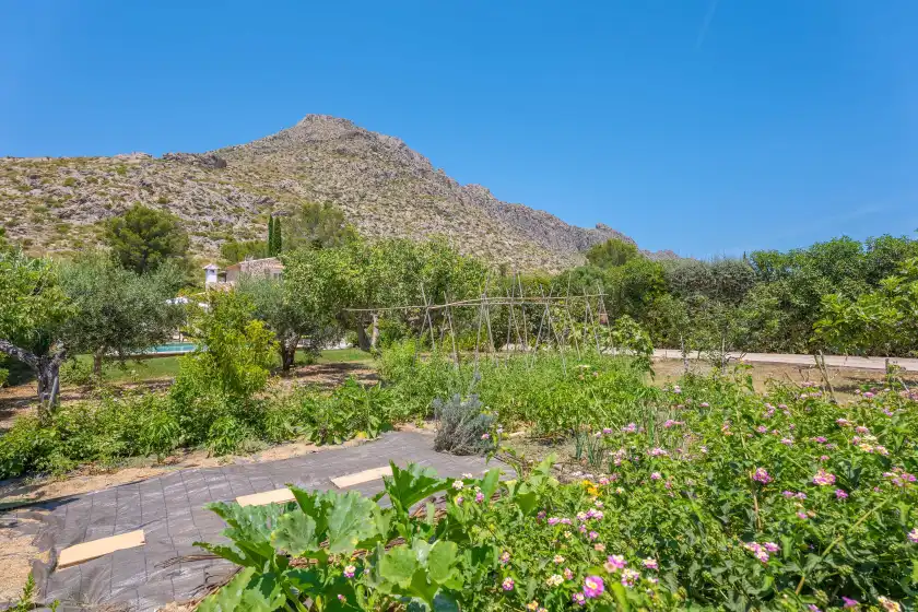 Holiday rentals in Ca'n coll, Port de Pollença