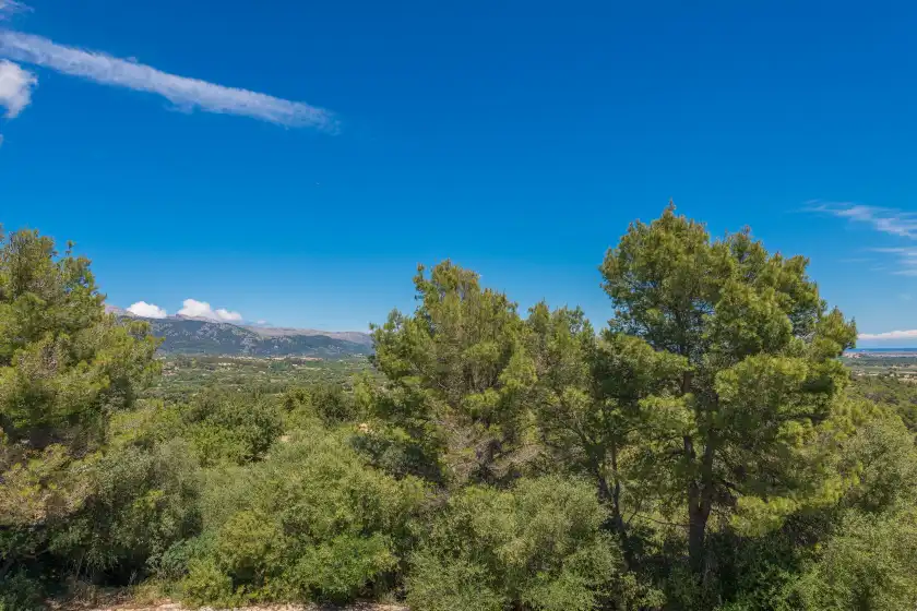 Alquiler vacacional en Talaiot 25, Inca