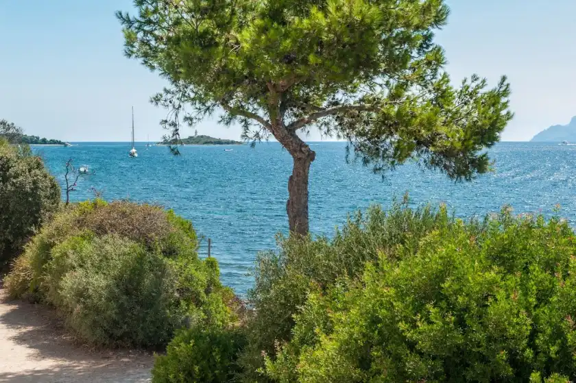 Alquiler vacacional en Villa can torrens, Port d'Alcúdia