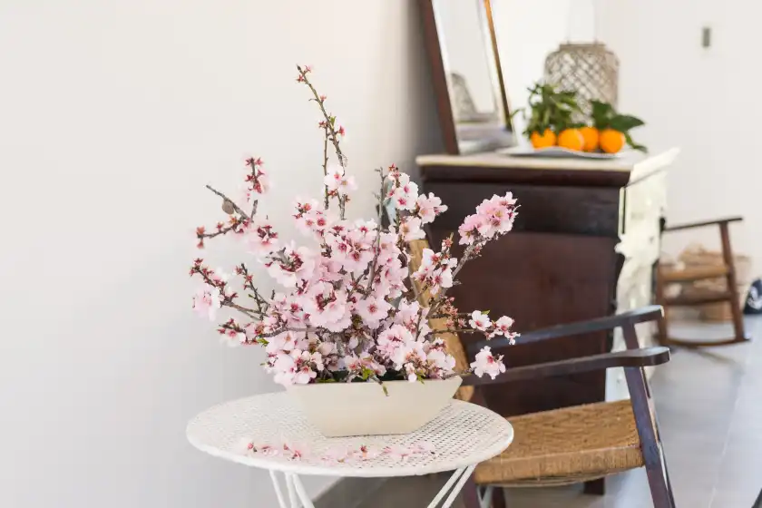 Alquiler vacacional en Cala rafalino, s'Illot-Cala Morlanda