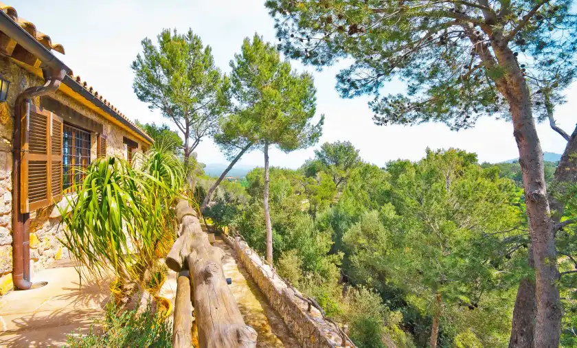 Alquiler vacacional en Son duri (cimenteres), Inca