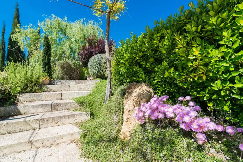 Ferienhaus auf Son ferragut, Sa Pobla