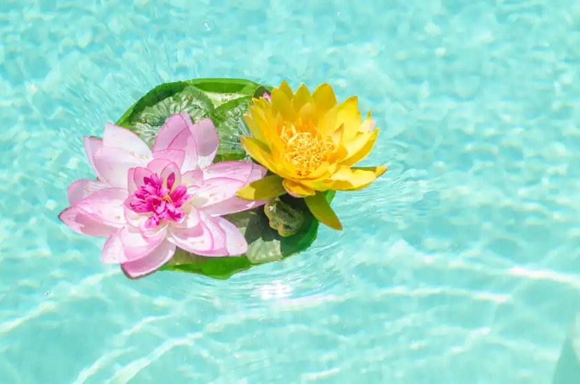 Ferienhaus auf Can toni, Sa Pobla