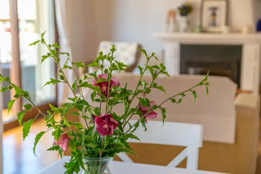 Alquiler vacacional en Can clavell, Urbanització Montfarrutx