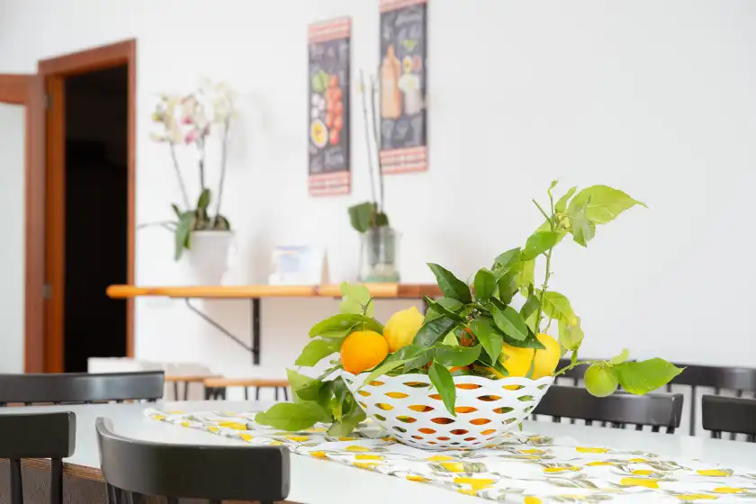 Alquiler vacacional en Estrel, Can Picafort