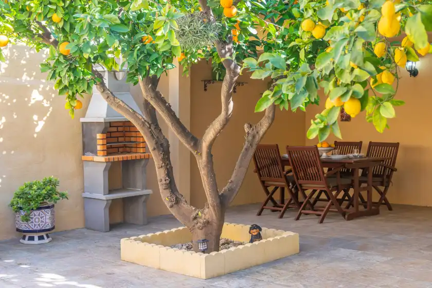 Holiday rentals in Juniper (inca), Inca