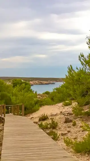 Alquiler vacacional en Ca minorica, Son Parc