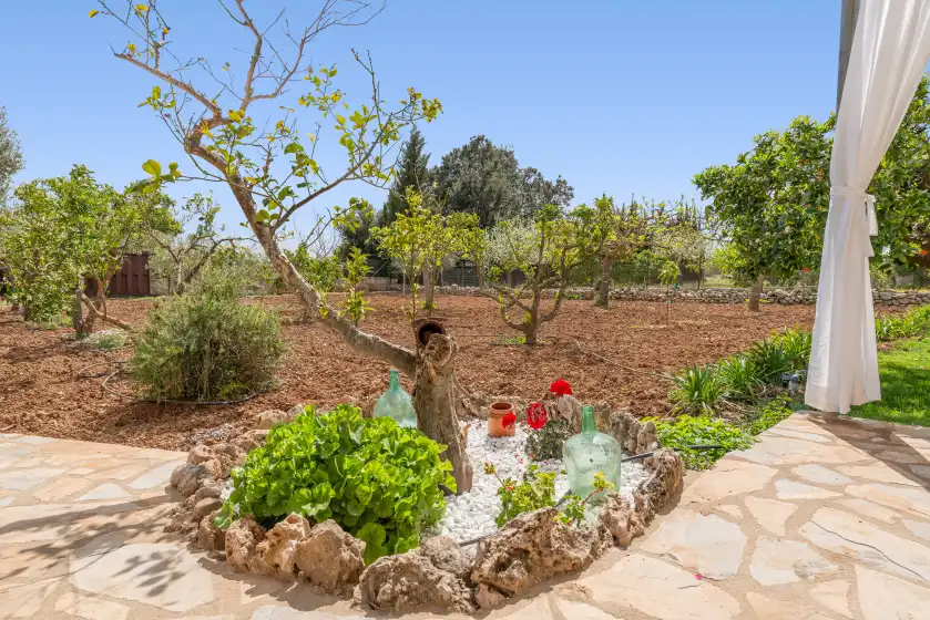 Alquiler vacacional en Sa caseta (búger), Búger
