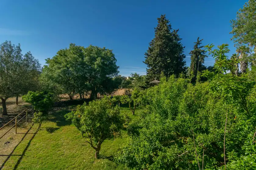 Holiday rentals in Sa teulera, Sencelles