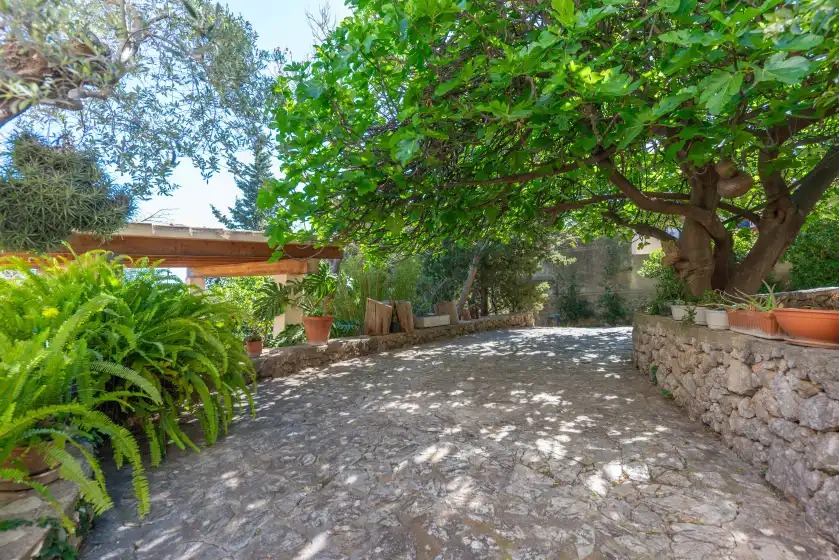 Ferienhaus auf Casa s'olivaret (selva), Selva