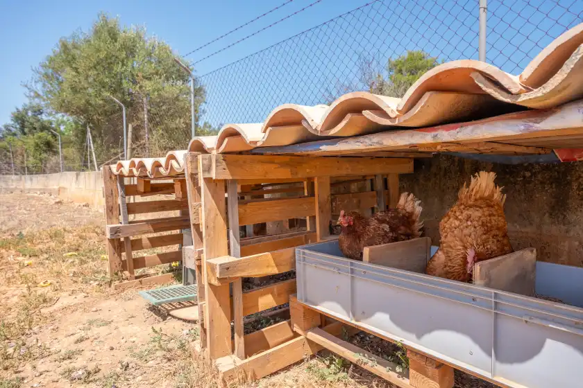 Alquiler vacacional en Sa tanqueta, Inca