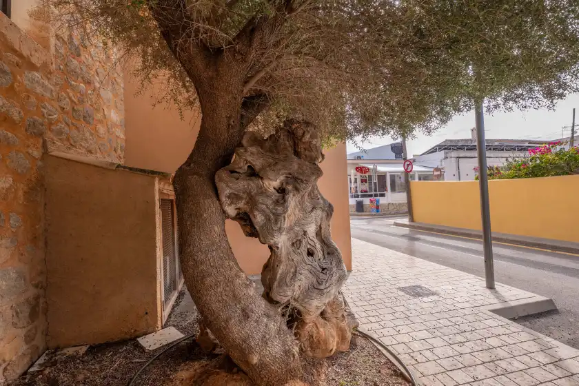Alquiler vacacional en Brisa marina, Colònia de Sant Pere