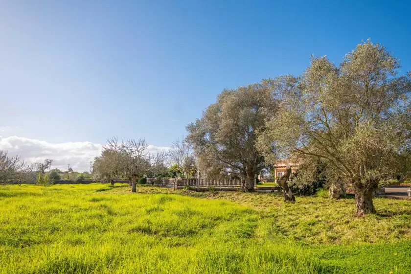 Alquiler vacacional en Sa torreta de santa margalida, Santa Margalida