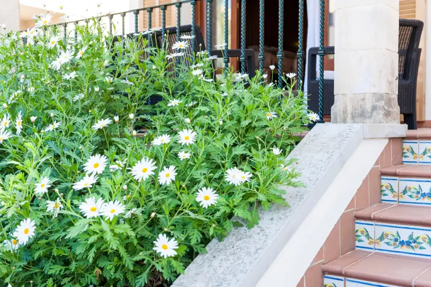 Ferienhaus auf Can barret, Can Picafort