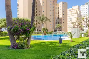 Apolo xiv 104 - grupo turis - Holiday rentals in Calp