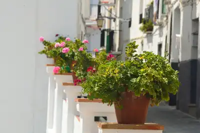 Tolox, Málaga, Vacalia.com