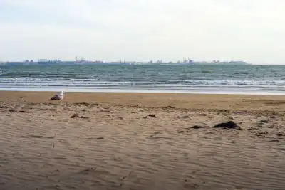 Playa de Valdelagrana, Cádiz