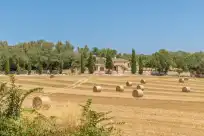 Holiday rentals in Ses cases velles de son baró