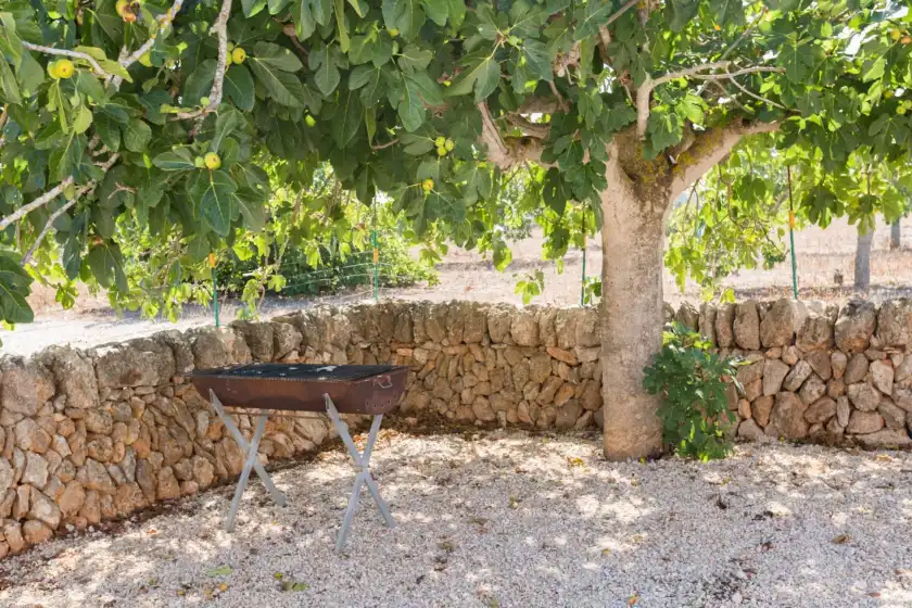 Alquiler vacacional en Short de son fideu, s'Estanyol de Migjorn