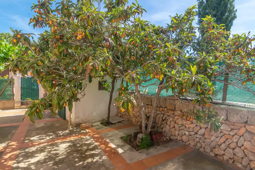 Alquiler vacacional en Son blau, Llucmajor