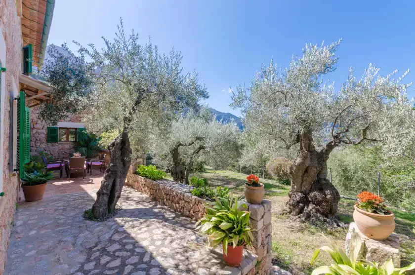 Alquiler vacacional en S'olivaret, Fornalutx