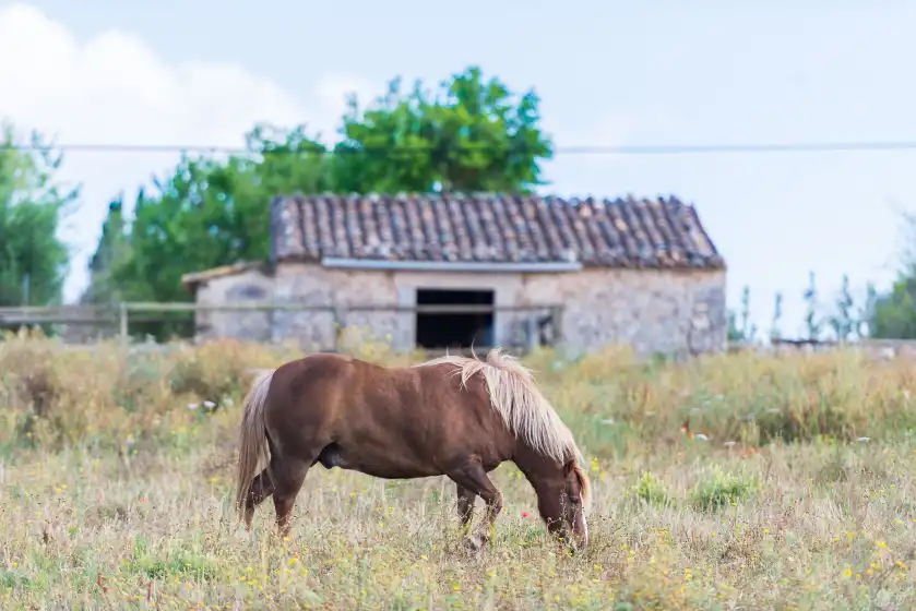 Ferienhaus auf Sa vinyota, Llubí