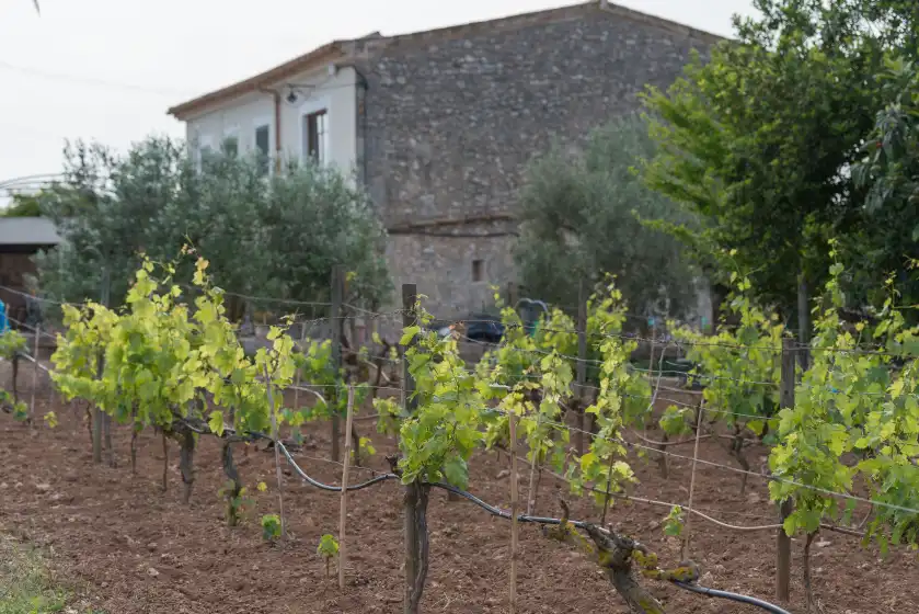 Ferienhaus auf Sa vinyota, Llubí