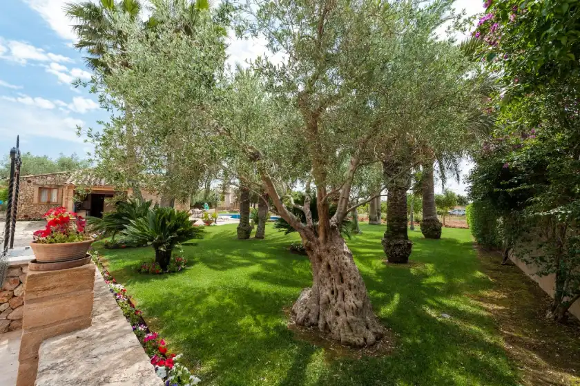 Alquiler vacacional en Can rovey, Inca