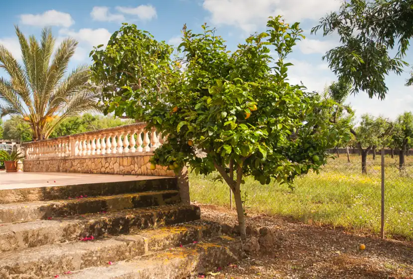 Alquiler vacacional en Son morro, Santa Margalida
