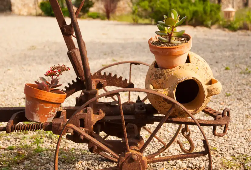 Alquiler vacacional en Son morro, Santa Margalida