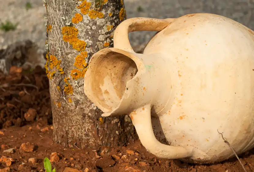 Alquiler vacacional en Son morro, Santa Margalida